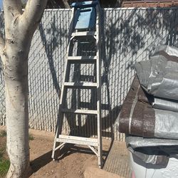 6 Feet Ladder