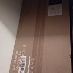 LG Monitor 