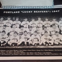 1947,1(contact info removed) & 1955 Portland Lucky Beavers Team Photo Vintage Minor League Baseball Original