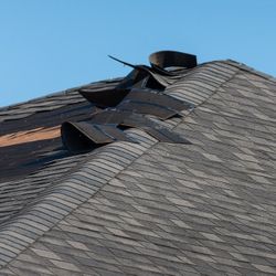 FALLEN SHINGLES?