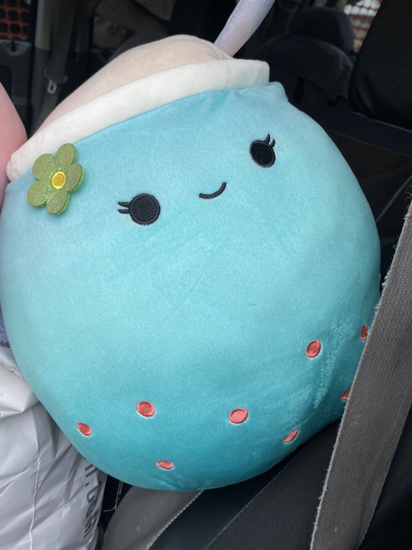 Plushies/Squishmalows
