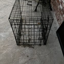Dog Cage 30inch