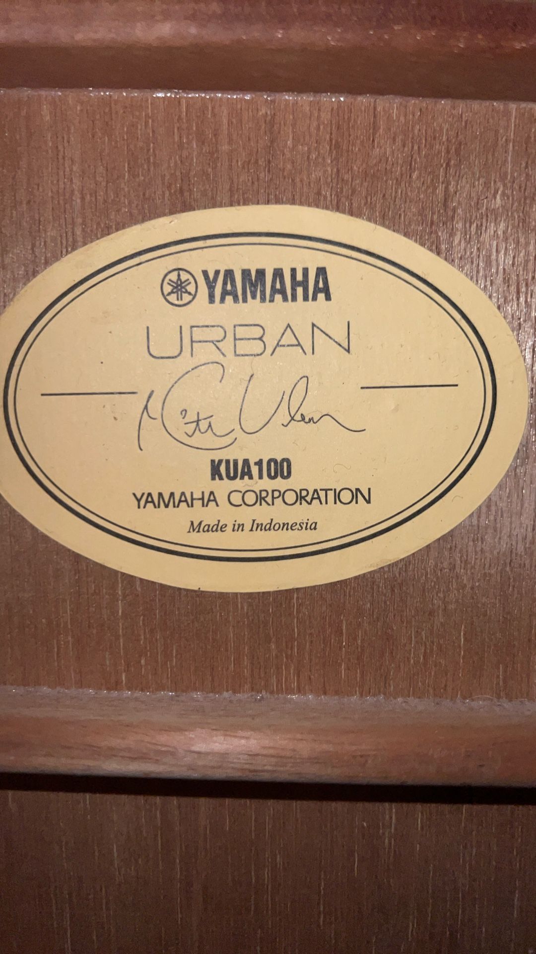 Guitar