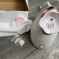 Face Steamer
