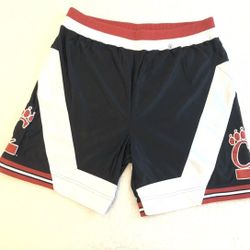 Vintage Rare 90s Nike Authentic Cincinnati Bearcats Basketball Shorts Size Large