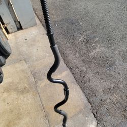 Standard  Curl Bar