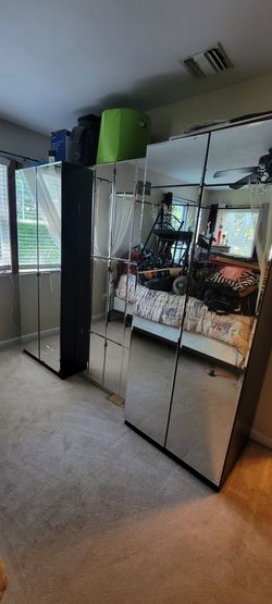 BLack Mirrored Closet