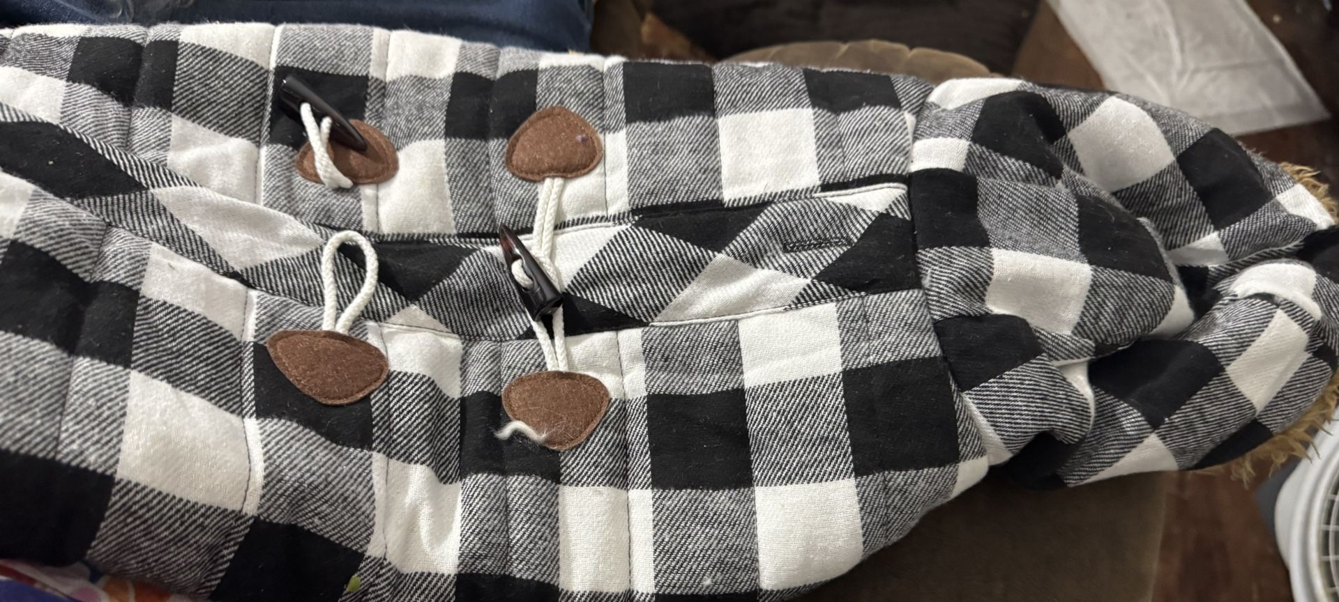 Dog Jacket For Sale