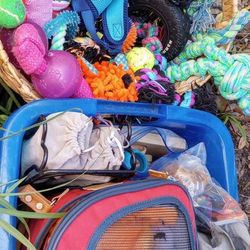 All Kinds Of Swag For Your Fur baby (Toys, Costumes, Outfits, Leashes, Collars, Thundervest, Carrier, Learning Toys, Travel Feed Bowls..Etc)