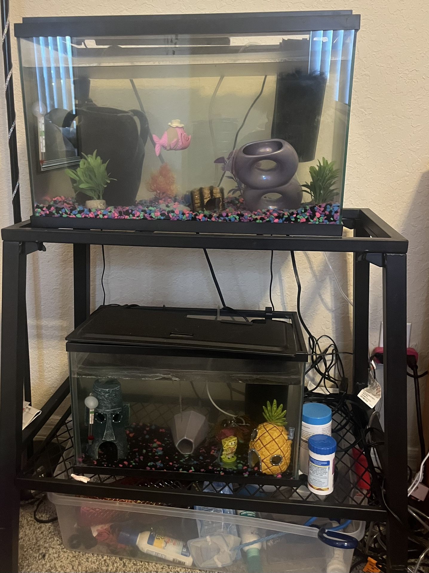 10 & 5 Gallon Fish Tanks with metal stand, equipment, & accessories