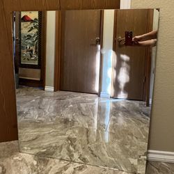 Mirror With Mount Brackets