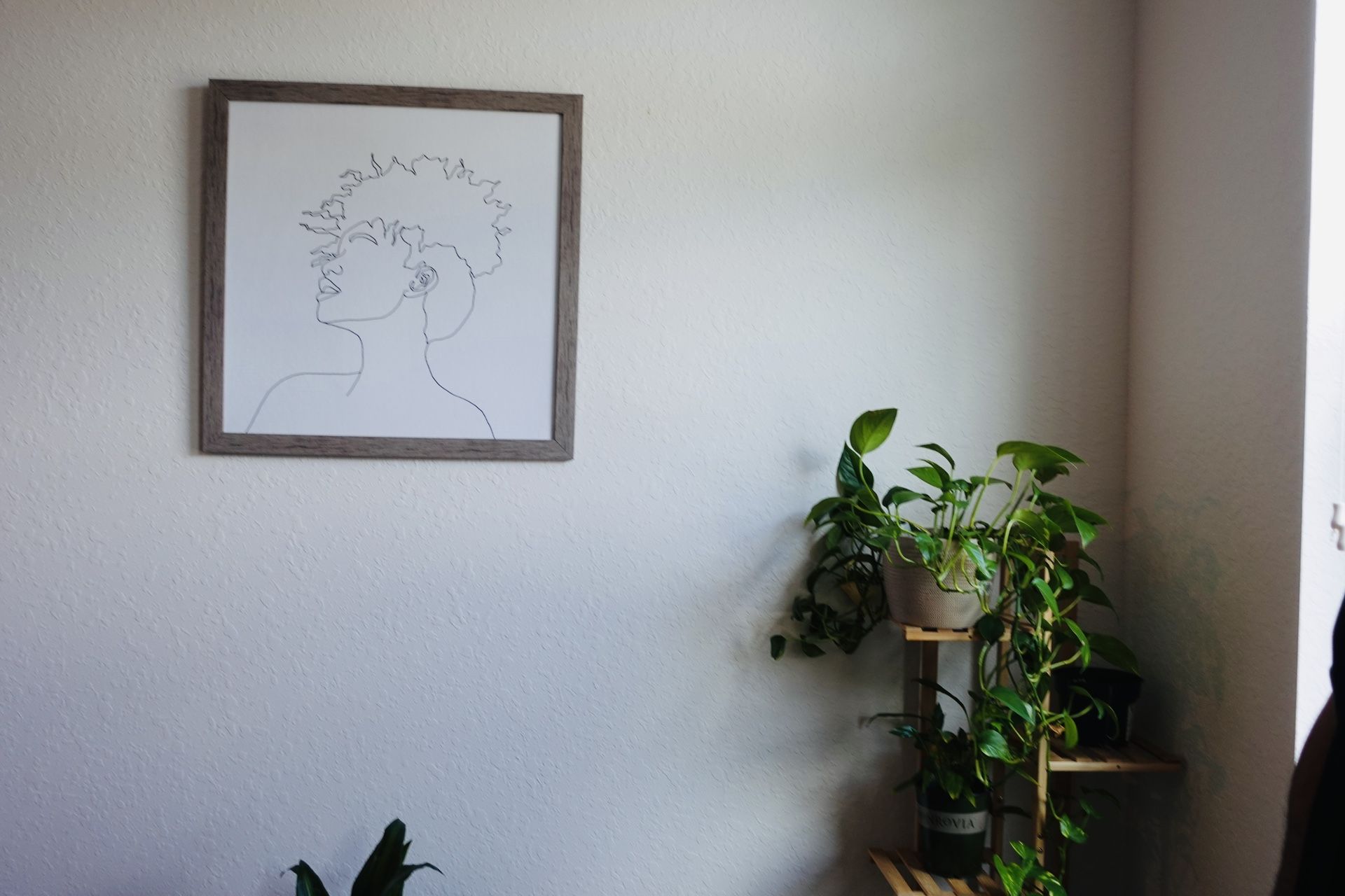 Minimalist Line Art Wall Frame
