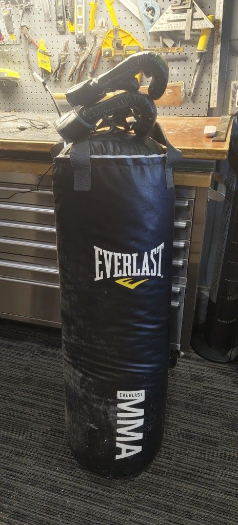 Everlast Boxing Punching  Bag And Gloves 