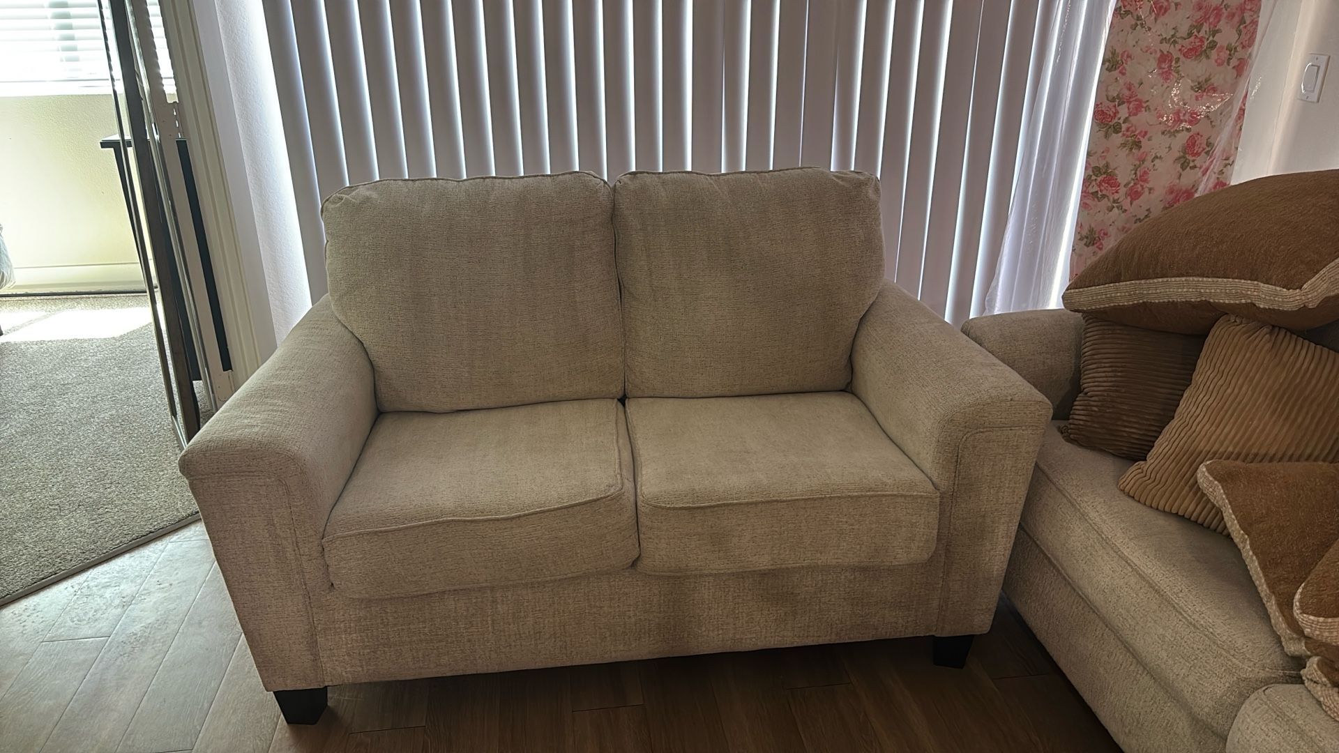 Small Couch Just Cleaned And New Cushions