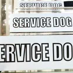 SERVICE DOG Silver Velcro Patches Sizes S/M/L Price $12 each pair
