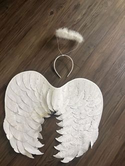 Angel Wings and Halo Costume Adult