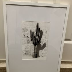 Framed Cactus Print