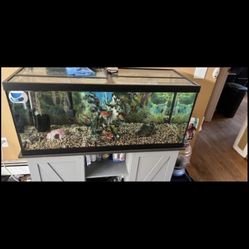 75 Gallon Fish Tank With Stand 