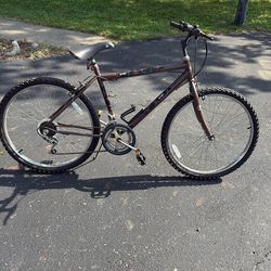Vintage 1999 Huffy Got Milk 10 Speed Mountain Bike