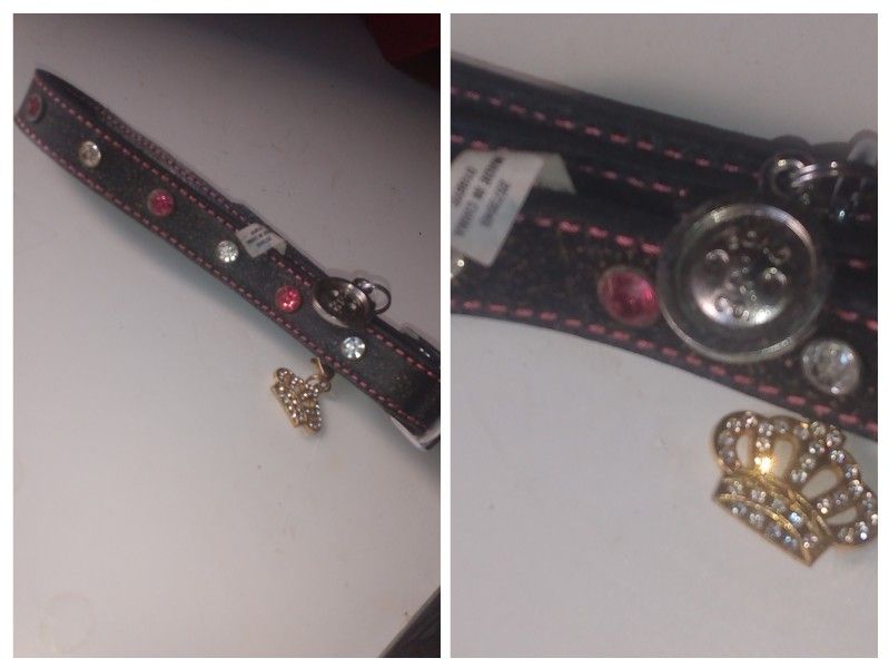 Blingy Dog Collar Size Large (Never Worn)