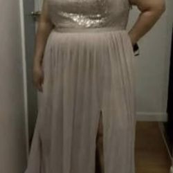 Platinum Evening Gown sz 20