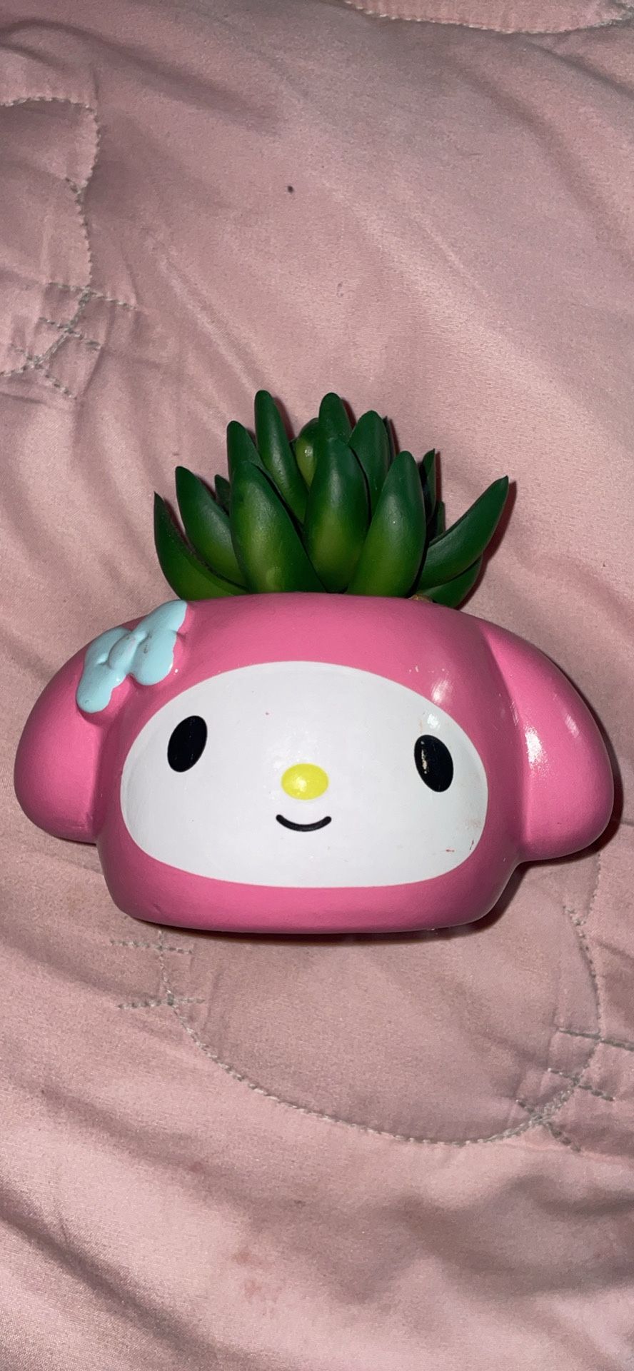 My Melody Sanrio Plant