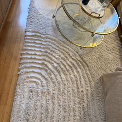 carpet/rug