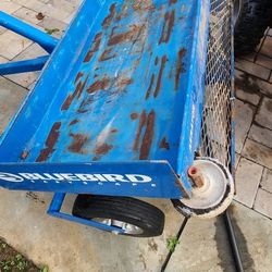 Tools Only Bluebird Aerator Pull Behind. Good Condition 
