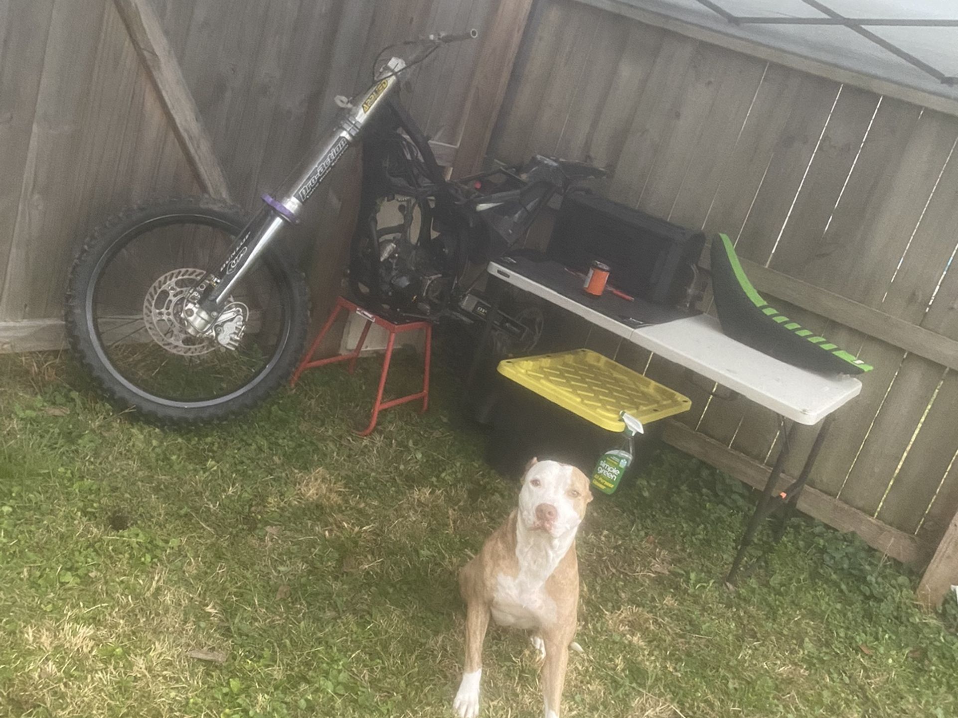 1997 Kawasaki 250 2 Stroke