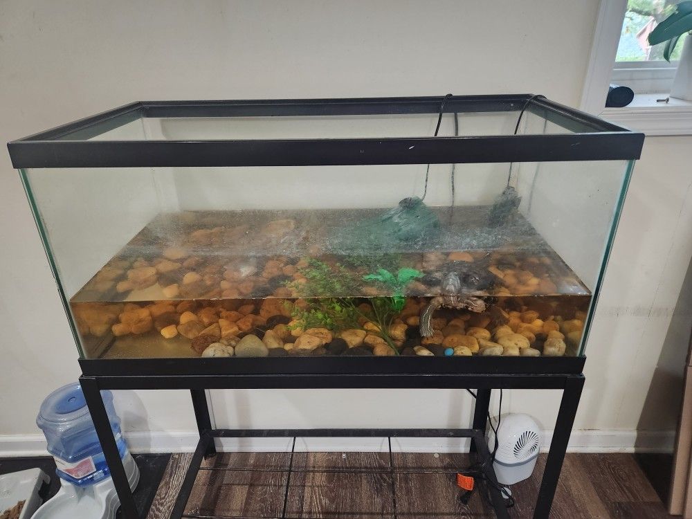 40gl Aquarium and Iron Stand