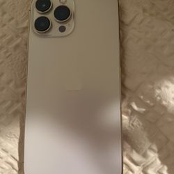 iPhone 13 Pro  Max  128 Gigabytes 