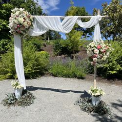 Birch Wedding Arch