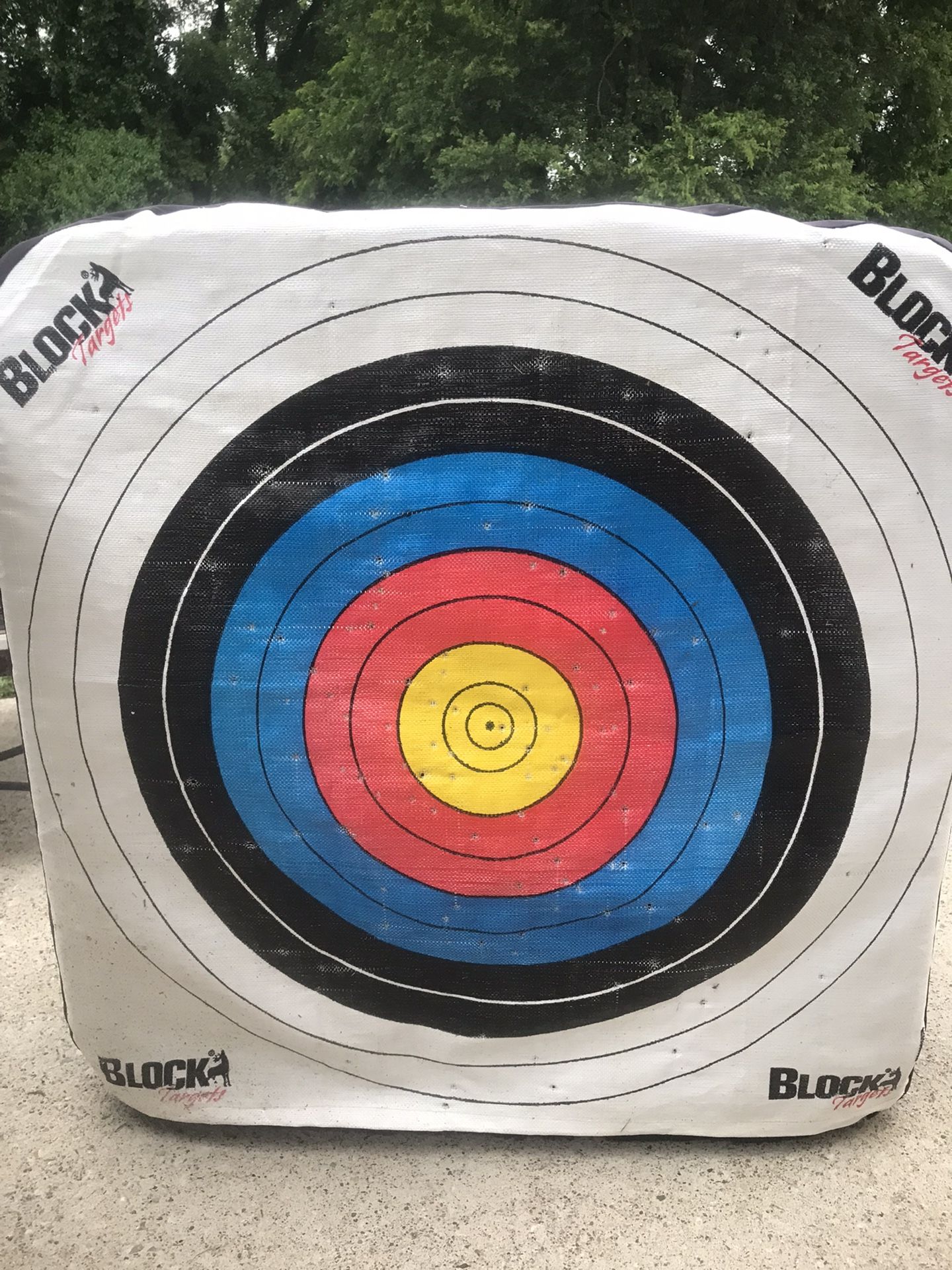 $80 All Weather Archery Target