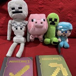 Minecraft toys/books only $20 for everything 📚