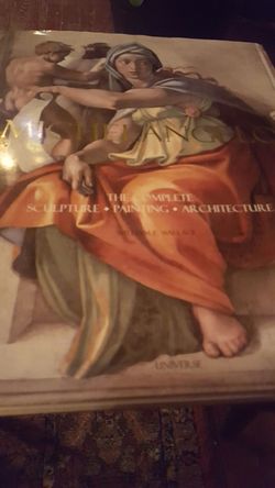Michaelangelo book