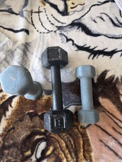 1 8lb And Two 3 Lb Dumbbells