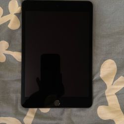 iPad Mini 5th Generation 