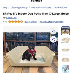 Indoor Dog Potty Tray X-Large 25”x25” Brand New!