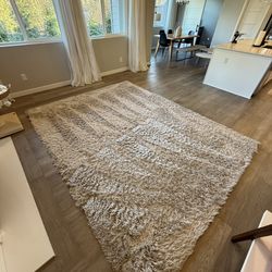 Large Shag Area Rug 8 x 10.5
