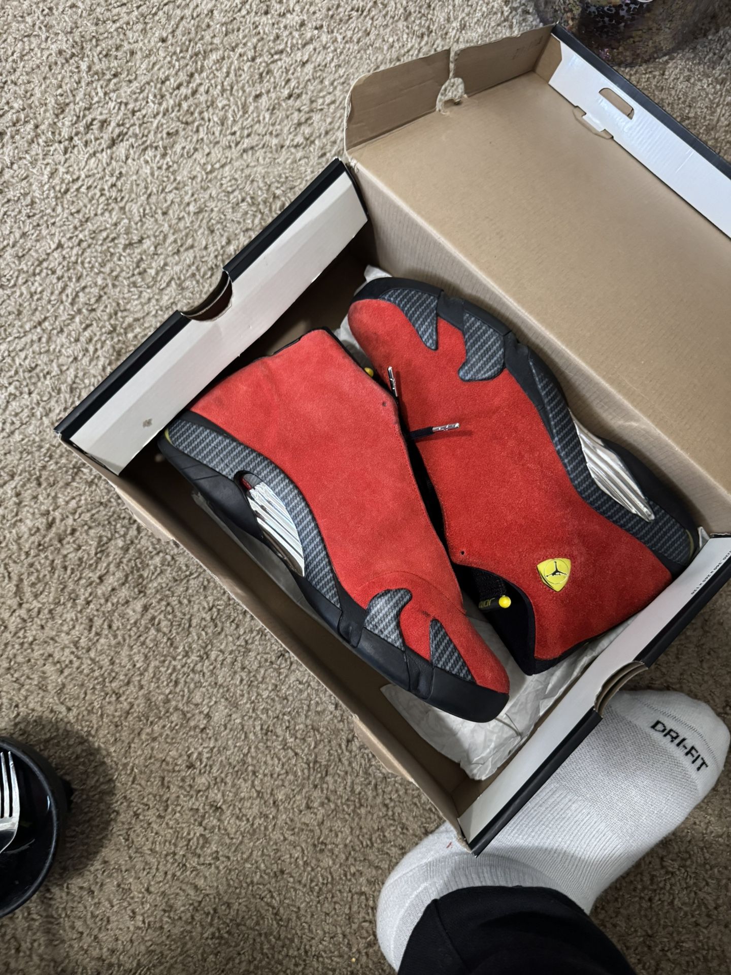 JORDAN FERRARI 14