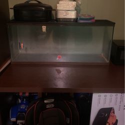 55 Gallon Tank For Fish Or Reptiles
