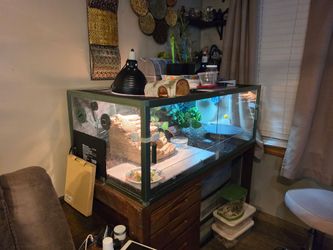 Reptile Cage