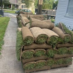Fresh Sod 