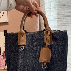 True Religion Purse
