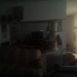 Mirrored Wall With Shelves