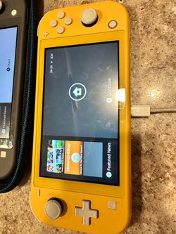 Nintendo switch lite