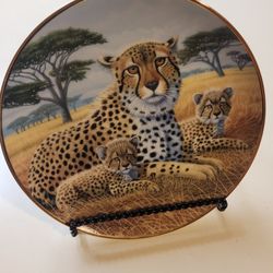 Plato Decorativo,  Cheetah and Cubs