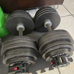 Weight Rogue Adjustable Dumbbells 