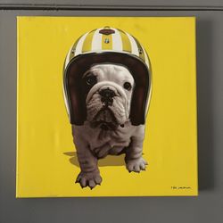 Teo Jasmin Dog Art Portrait