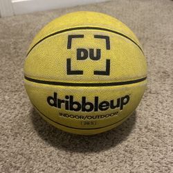 DribbleUp Ball For Cheap